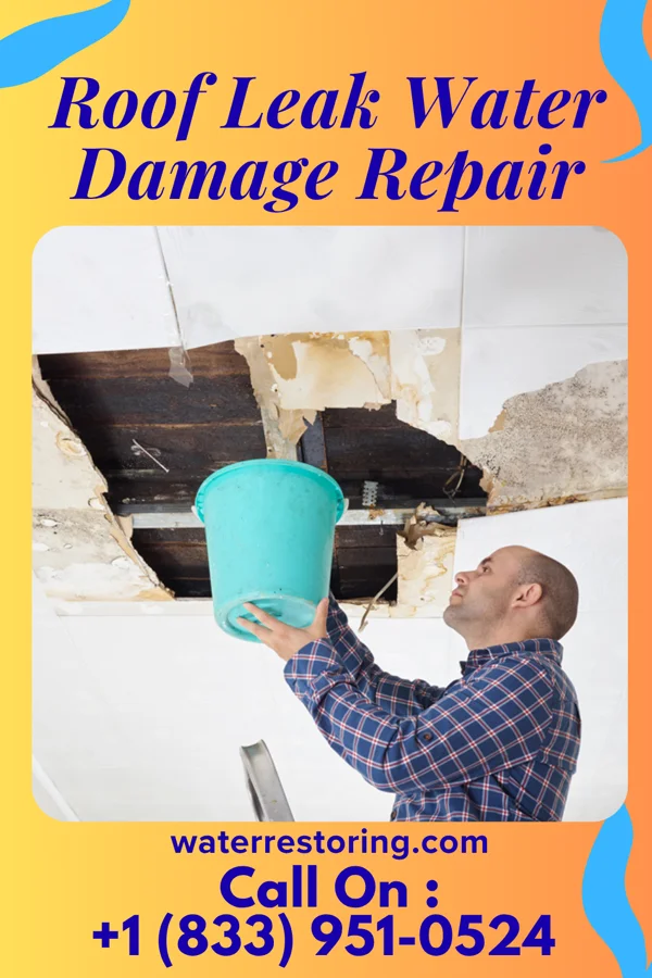 Roof Leak Water Damage Repair in Schaumburg, IL