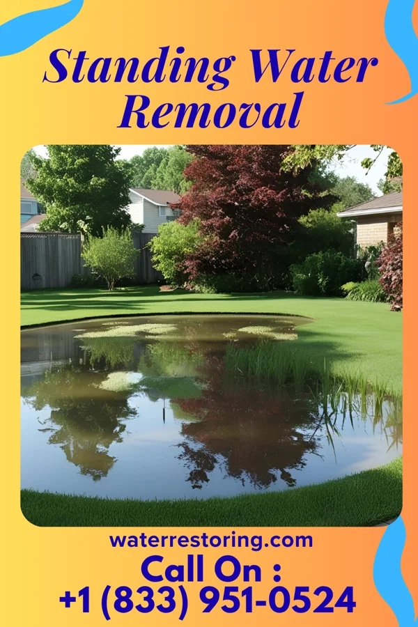 Standing Water Removal in Schaumburg, IL